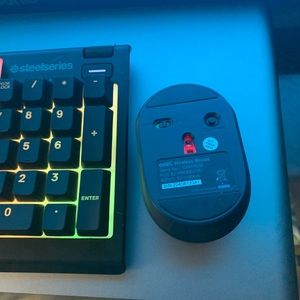 A steelseries keyboard and wireless mouse for half price